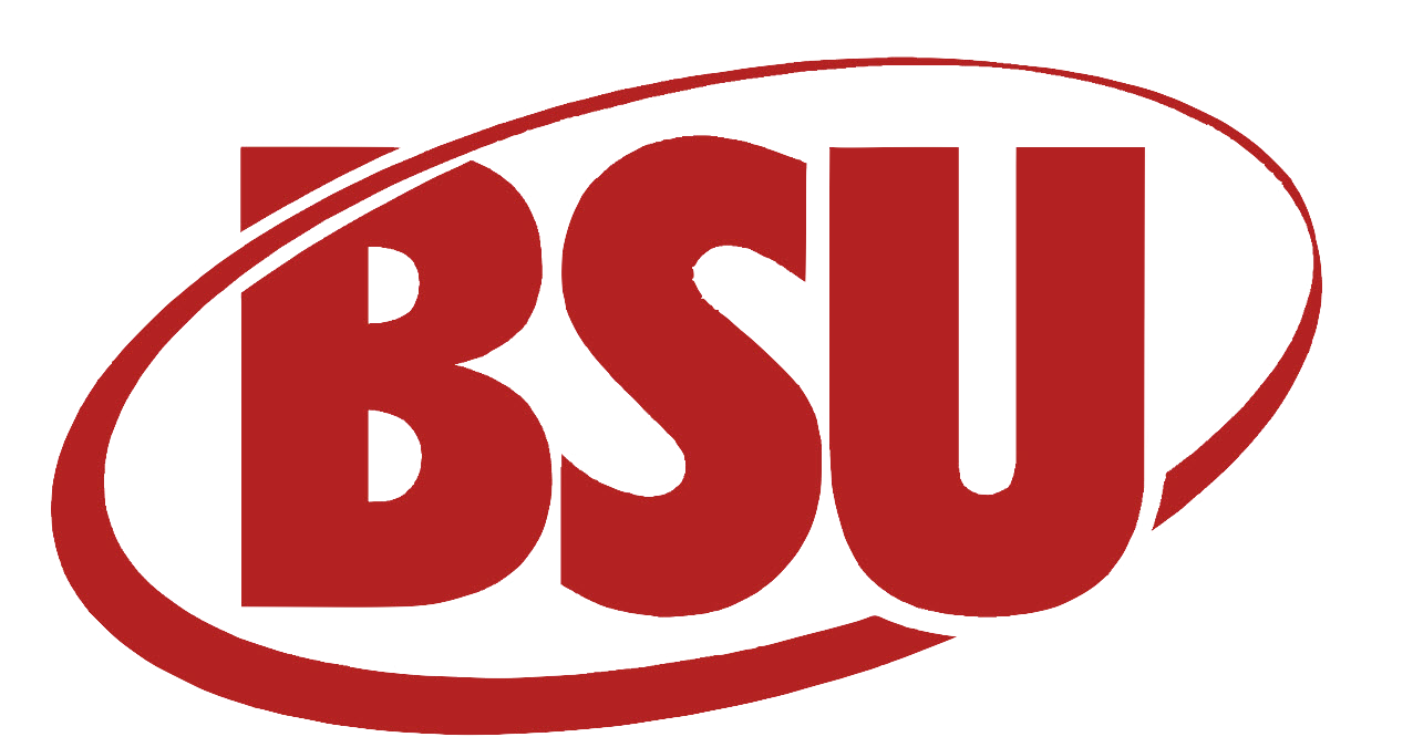 BSU INC