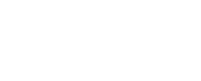 ARCHITECT INC