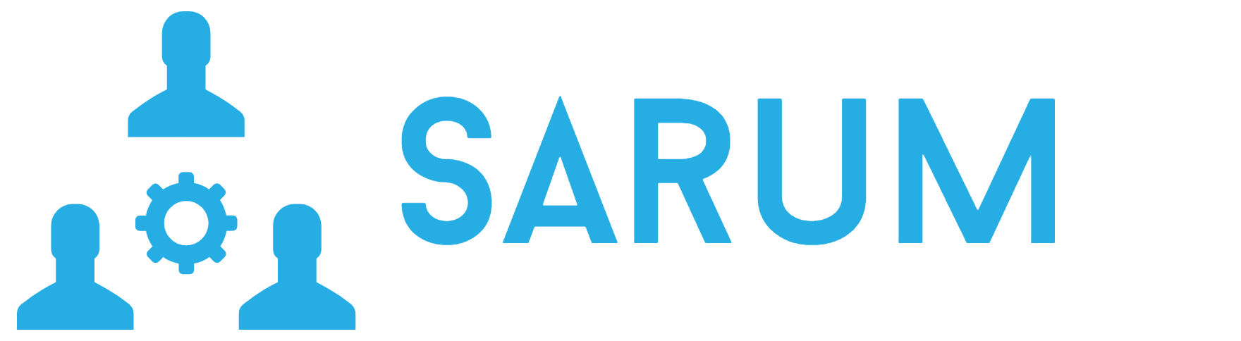 Sarum LLC
