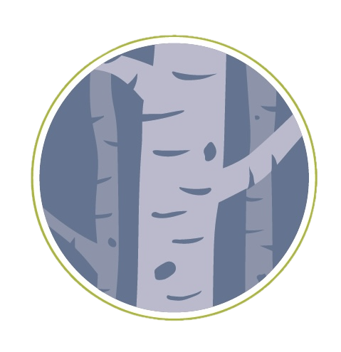 Birch Tree Psychotherapy
