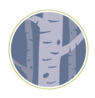 Birch Tree Psychotherapy