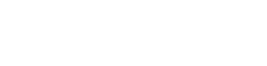 Sweep-A-Chim