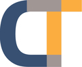 Consulting Technology Company