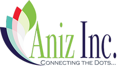 Aniz Inc