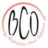 Bestview Care Options Llc