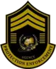 Protection Enforcement Agency LLC