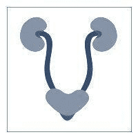 B Robert Bamshad MD Inc