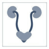 B Robert Bamshad MD Inc