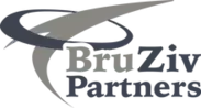 BRUZIV PARTNERS LLC