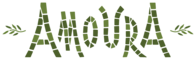 Amoura International Inc