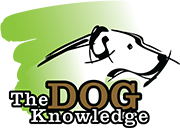 The Dog Knowledge