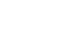 LITTLE FORREST EXPLORERS LLC