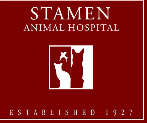 Violi Veterinary Care Pllc
