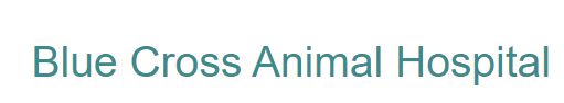Violi Veterinary Care Llc