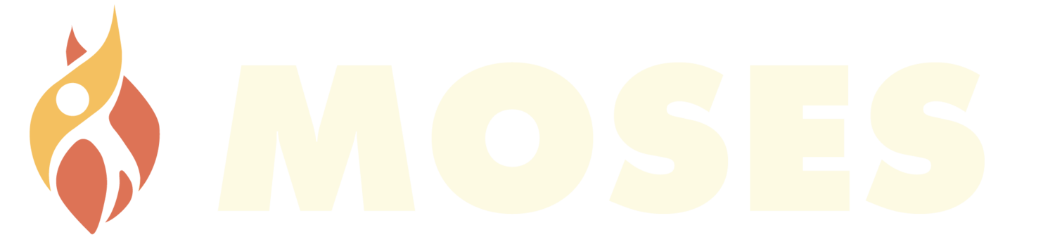 METROPOLITAN ORGANIZING STRATEGY EN