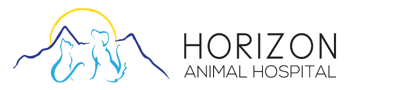 HORIZON ANIMAL HOSPITAL LLC