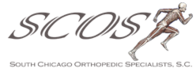South Chicago Orthopedic Specialist