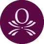 Optima Exec LLC