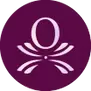 Optima Exec LLC