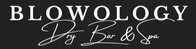 blowology dry bar