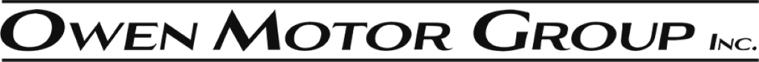 OWEN MOTOR GROUP INC