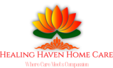 HEALING HAVEN HOME CARE SERVICES LLC
