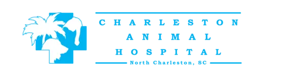 Charleston Animal Hospital