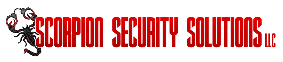 Scorpion Security Solutions LLC