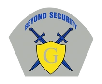Beyond Security LLC