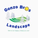 Gonzo Bros Landscape