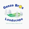Gonzo Bros Landscape