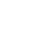 Pangea Reptile