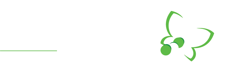 Christ Church Day Care Inc