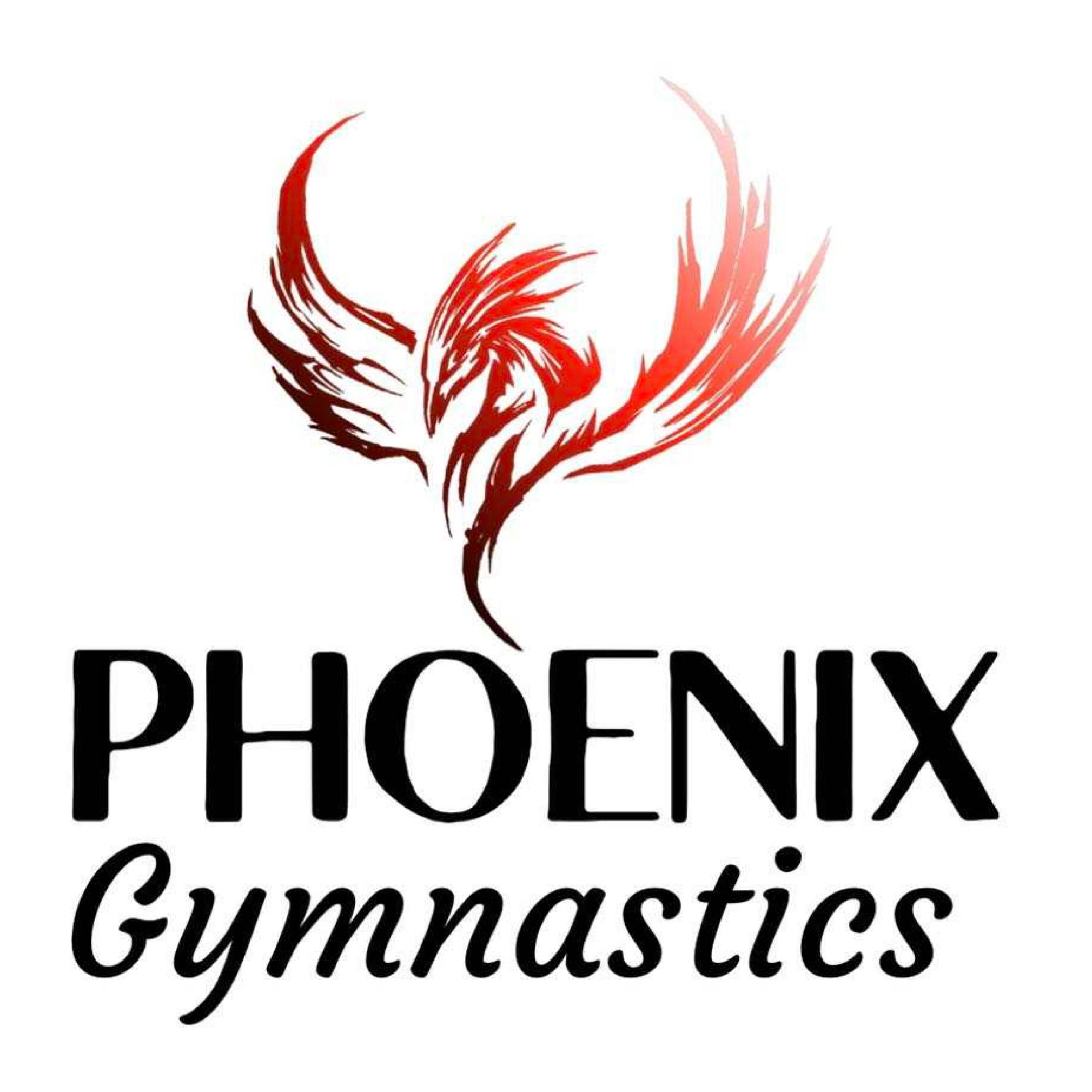 PHOENIX GYMNASTICS TRAINING CENTER