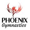 PHOENIX GYMNASTICS TRAINING CENTER
