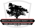 Absolute Insurance Agency
