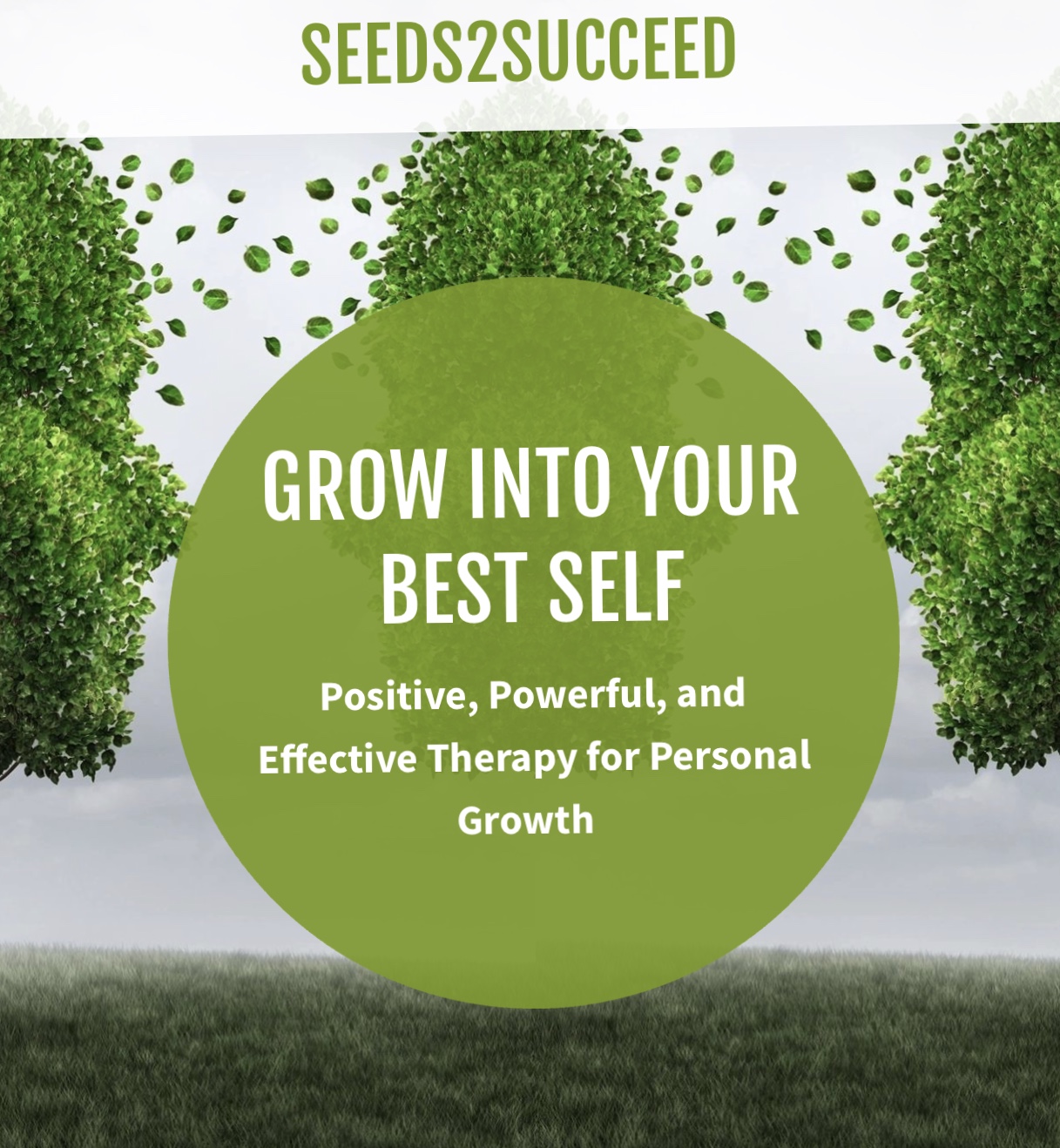 Seeds2Succeed Therapy Group