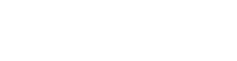 Diamond Technology, Inc.