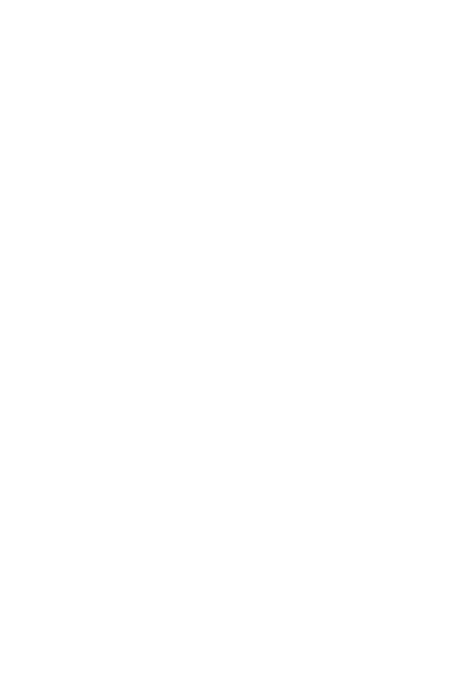 NEW LOUNGE US CORPORATION