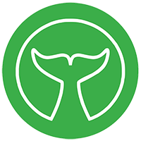 WHITE WHALE SOLUTIONS LLC