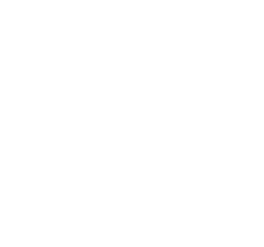 Bal Therapy LLC