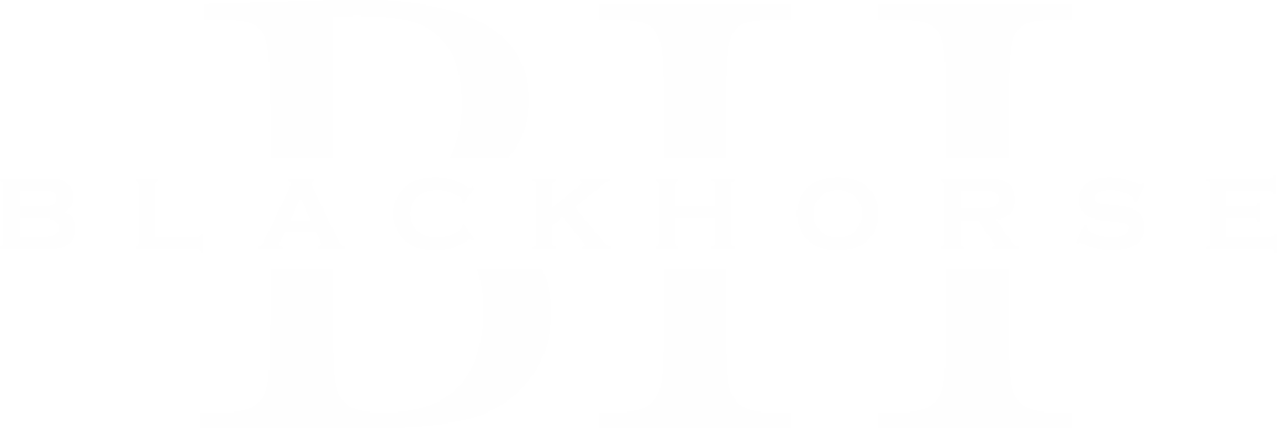 BlackHorse LLC