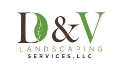 D&V LANDSCAPING SERVICES