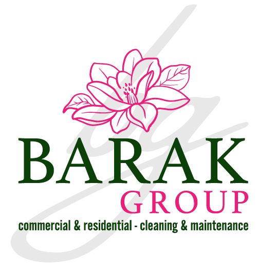 Barak Group Inc