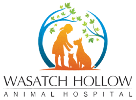 Wasatch Hollow Animal Hospital
