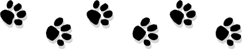 Animal Care Center of Hudson