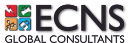 ECNS Global Consultants PLLC