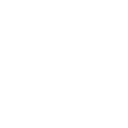 DONAHUE BROTHERS INC