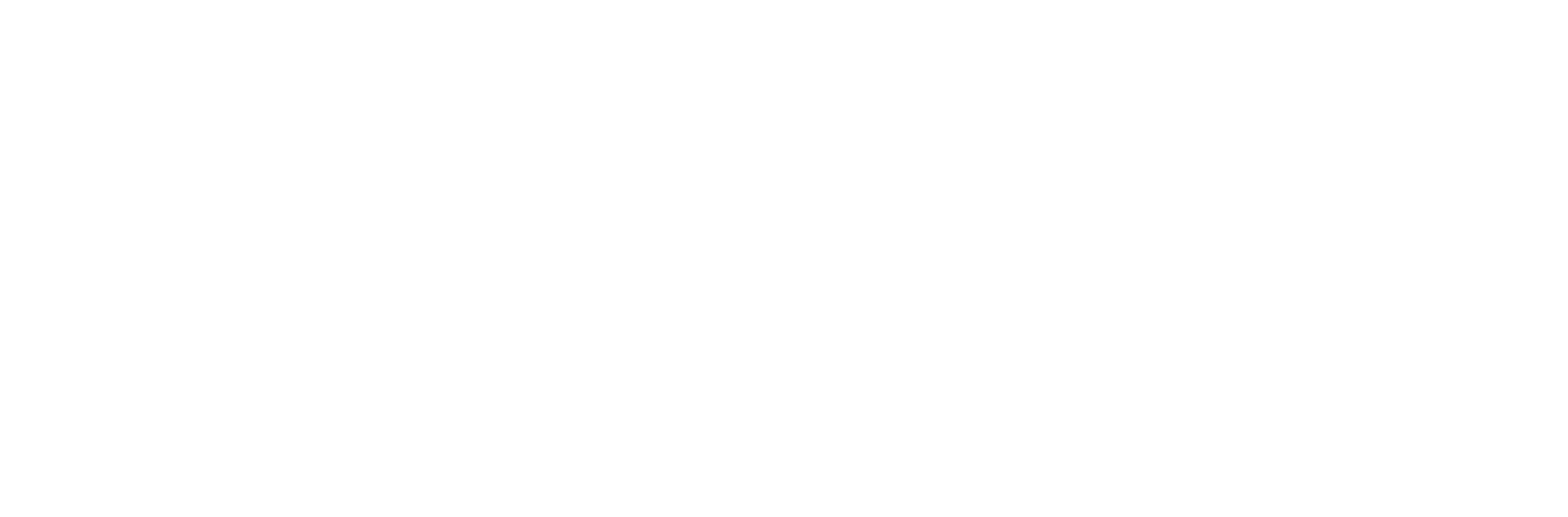 Visitiq LLC
