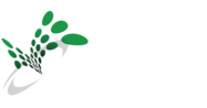 AT&I Systems